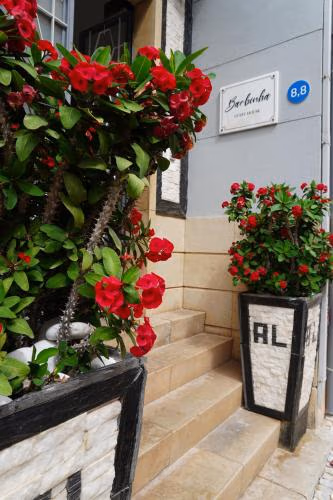 AL Barbinha — photo 1