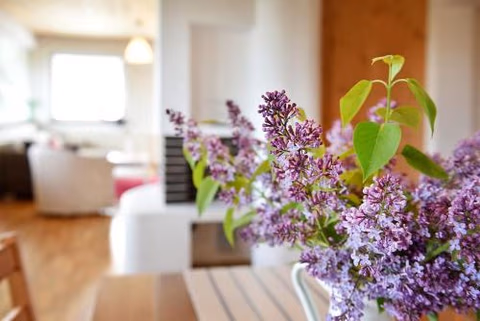 Priestranný, svetlý apartmán — foto 2