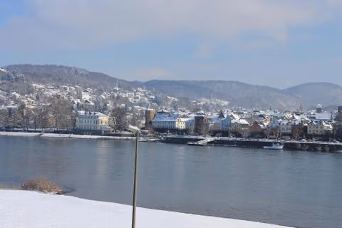 RheinHotel ARTE — photo 2
