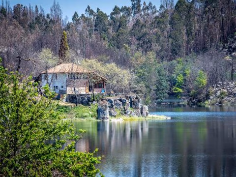 Mansion in Dão Valley by River Beach — photo 1