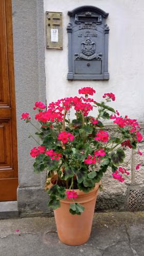 Casa Bartolacci Charme in Bivigliano (Near Mugello and Florence) — photo 9