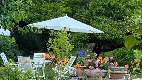 Villa zur Erholung Bed & Breakfast — foto 5