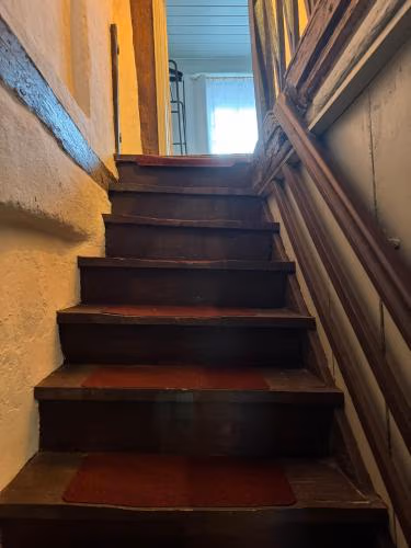 Zur Baumwolle — foto 7