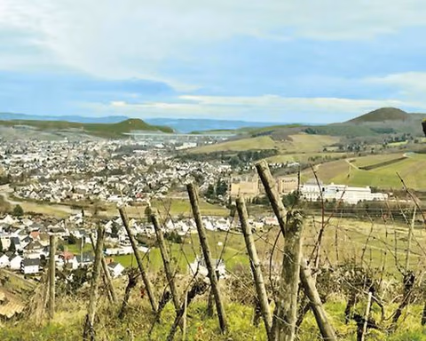 Pension zum Ahrblick — photo 2