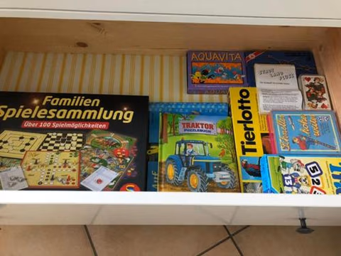 Ferienwohnung Aigisblick mit Pool und Sauna, direkt am Skihang — foto 6