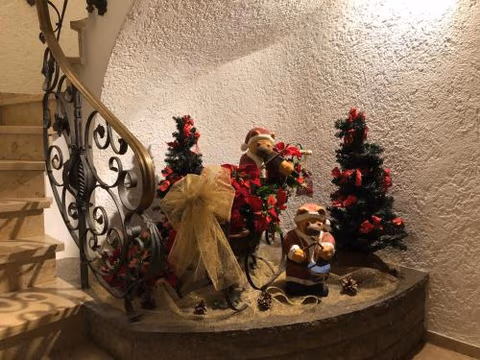 Hotel Alpenrose gut schlafen & frühstücken — foto 8