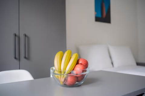 Homaris Apartments Nibelungen — photo 4