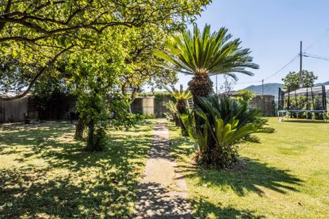 Agriturismo Giorgi appartamenti in Riviera Ligure — foto 4