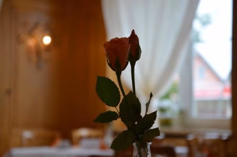 Hotel KRONE Kressbronn am Bodensee — foto 8
