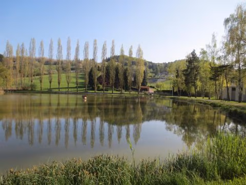 La Maison des Fontaines d'Alsace — foto 7