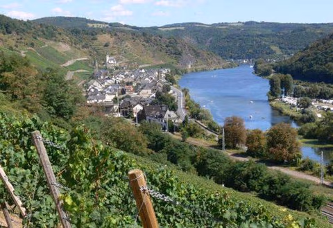 Fuchsdomizil — foto 5