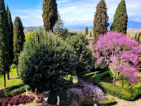 Villa Nardi - Residenza D'Epoca — foto 8
