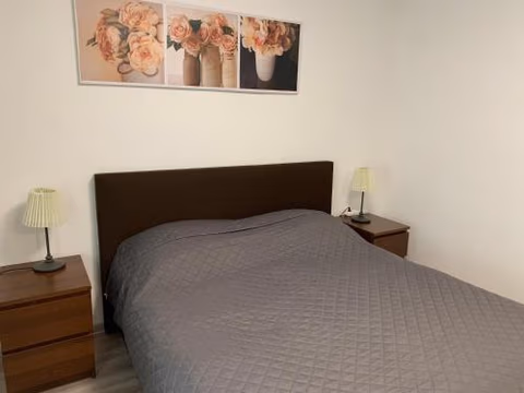 Apartament TT10 Botanicka — foto 6