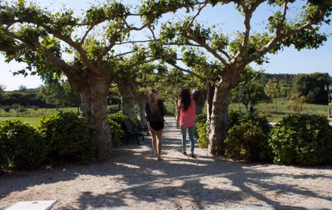 Pazo Santa María — foto 9