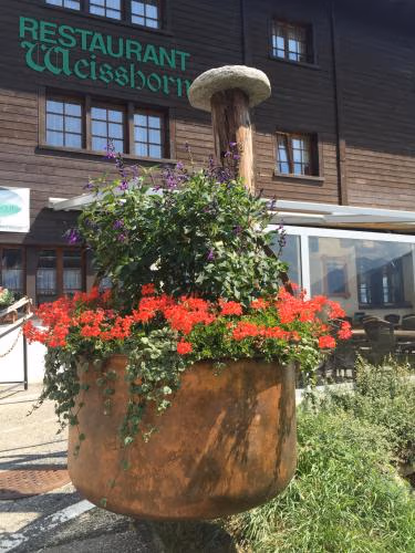 Hotel Weisshorn — foto 8