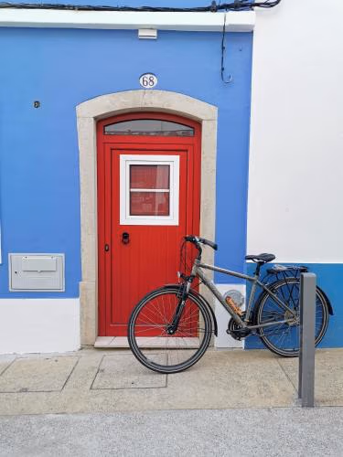 4Bs - Birds & Bicycles — photo 6