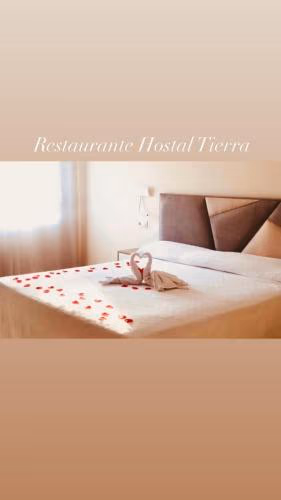 Hotel Tierra — photo 4