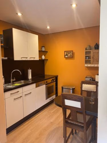 Weinrebe Oberhermsdorf nahe Dresden — foto 6