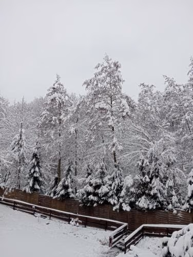 Salis Resort — foto 2