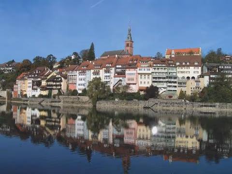Brutsches Rebstock — foto 6