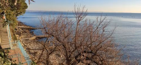 Locazione Turistica Sul Mare Strada Costiera 244, Trieste — photo 7