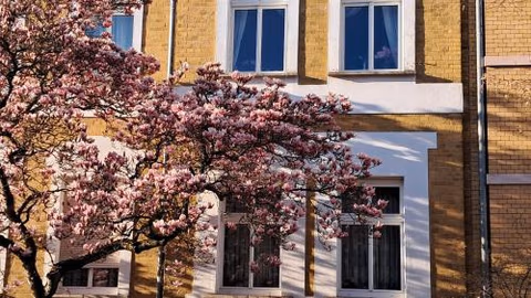 Ferienwohnung Rosi — foto 2