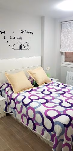 LAIA HOME GARAJE Y WIFI — foto 2