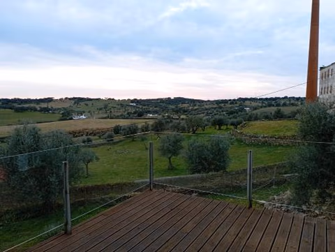 Retiro da cegonha — photo 2