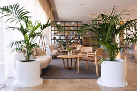 Hotel Antequera Hills — foto 8