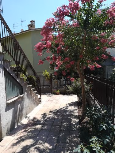 Alloggio turistico La nuova Velzna — foto 7