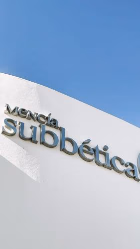 Hotel Mencia Subbética — photo 3