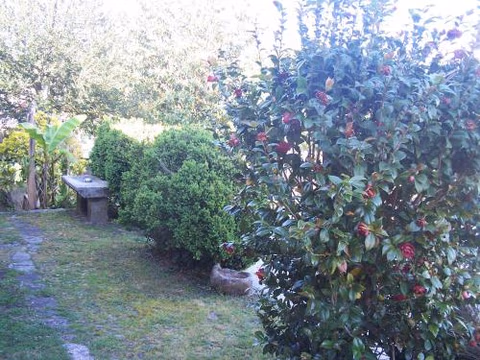 CASA PAREDES - RÍAS BAJAS — foto 9
