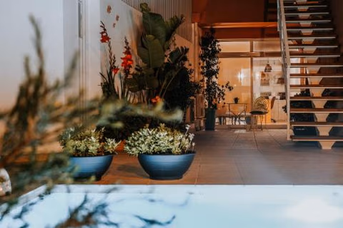 Casa Morgados - Grândola Guesthouse — foto 9
