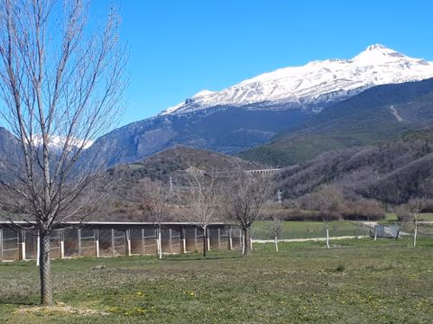 Albergue A'Noguera — foto 4