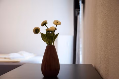 Wiesentäler Hof Hotel garni — foto 7