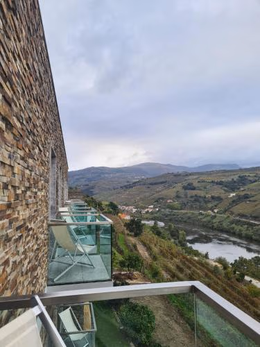 Delfim Douro Hotel — foto 7