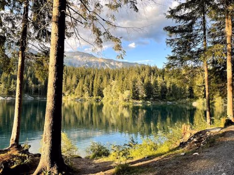 Swiss chalet near Flims — foto 5