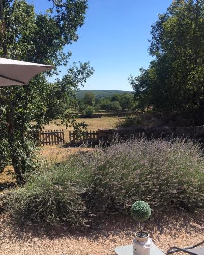 TINY HOUSE & SPA — foto 6