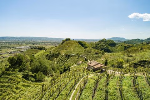 Oasi di pace nel sito UNESCO del Prosecco DOCG — foto 9
