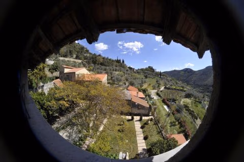 Agriturismo La Contessa — foto 7