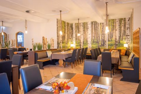 Hotel Lengenfelder Hof — photo 9