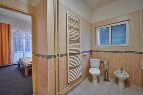 Hotel Palace - KÚPELE SLIAČ — foto 8
