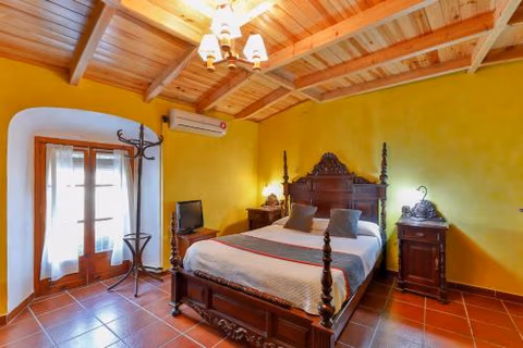 Hotel Las Palmeras by Vivere Stays — photo 4