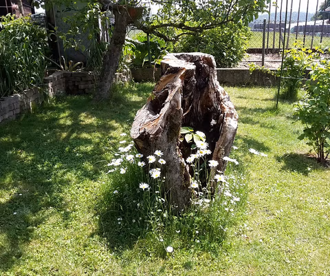 Bed & Breakfast Huggerwald — foto 5