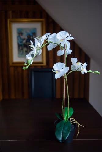 Modern Appartement — foto 2