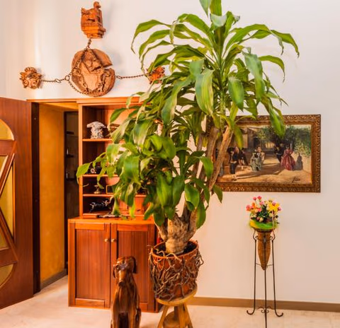 Albergo Della Corte — foto 7