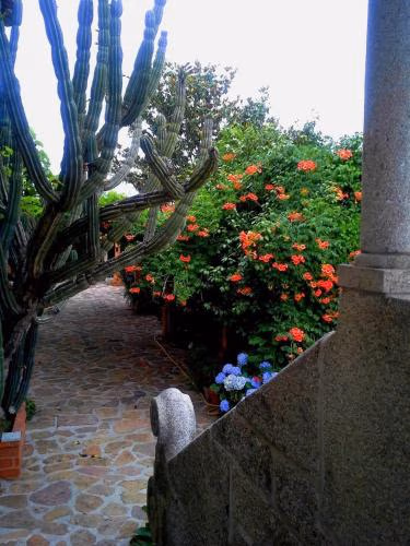 Casa do Faial - Braga — foto 9