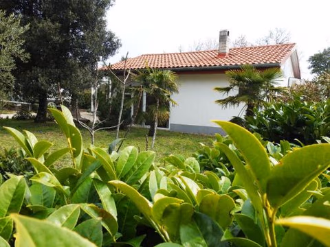 Holiday Home Gemütliches Ferienhaus in Pinezići mit großer Te by Interhome — foto 3