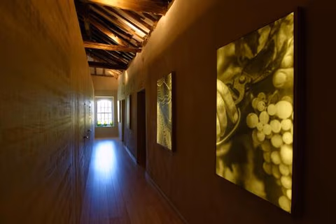 Quinta da Casa Amarela- Casas da Quinta - Turismo em Espaço Rural — photo 9
