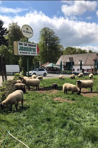 Hotel-Restaurant Johanniskreuz — foto 9